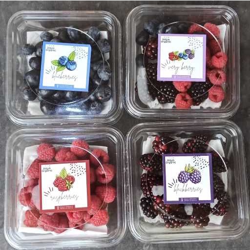 

[SAKHARA SHOP] FRESH BERRY 100 GRAM