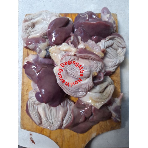 

ATI AMPELA AYAM