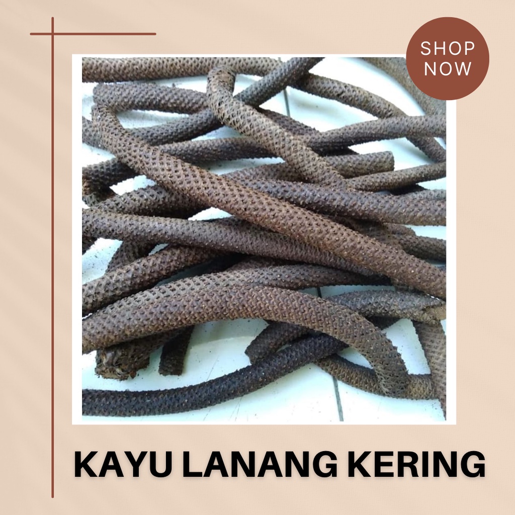 Kayu Lanang Kering Herbal Premium 1 kg & 500 gr