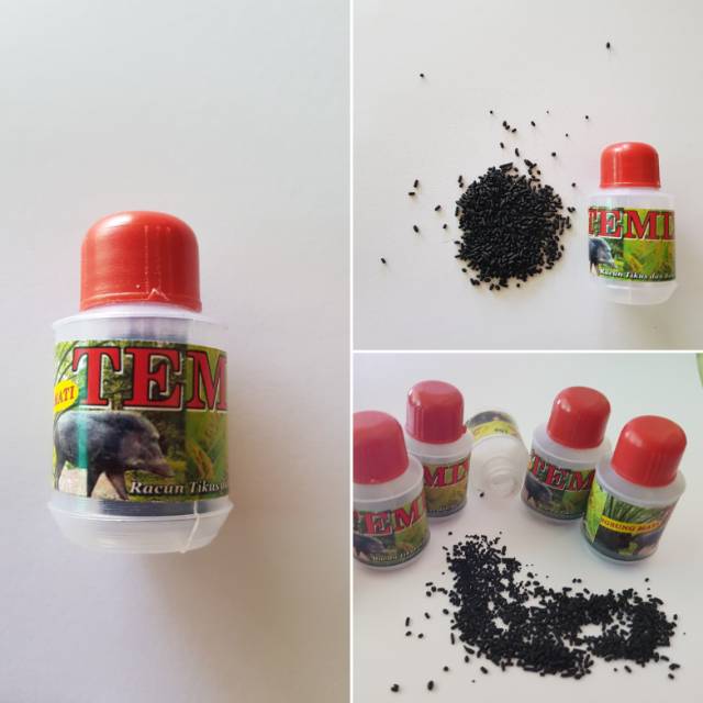 TEMIX TEMIK PEMBASMI TIKUS DAN BABI ORIGINAL