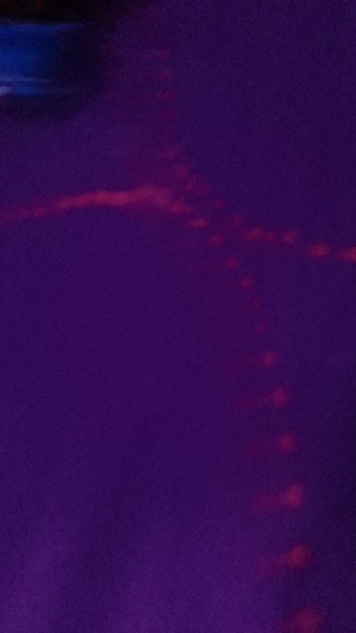 Maxim Drink Set Fiesta 7pcs Set Teko & Gelas Kaca (1pc Jug 1.6ml + 6pcs Tumbler 250ml)