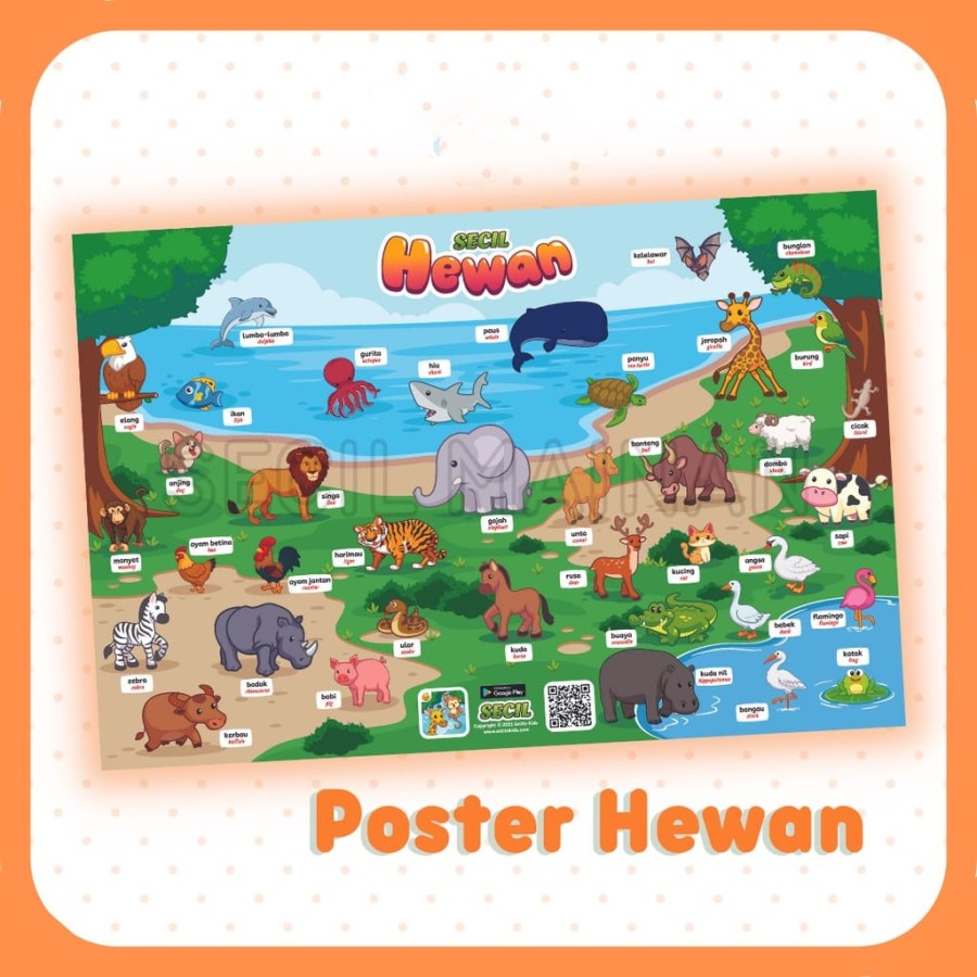 MOMBABY1 Poster Belajar mengenal Hewan / Poster Hewan fauna untuk Anak SD TK