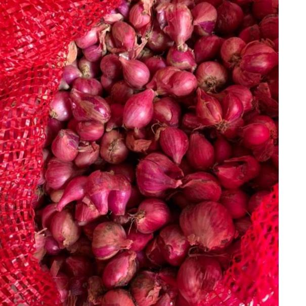 

TERPOPULER bawang merah super 1kg (grade super sedang) ♡ 894
