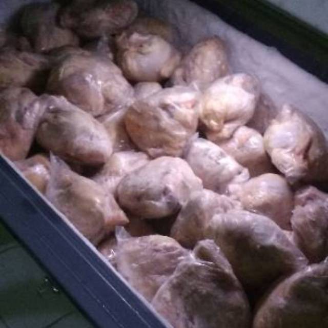 

DAGING AYAM UTUH FRESH