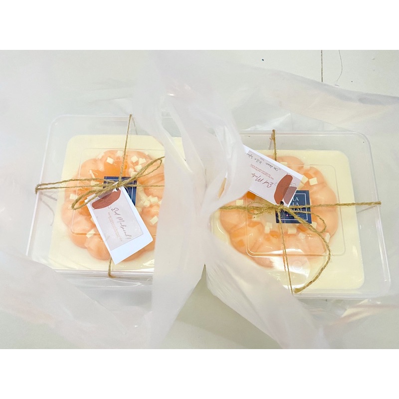 

PAKET HEMAT MANGO CHEESE PUDDING 110K