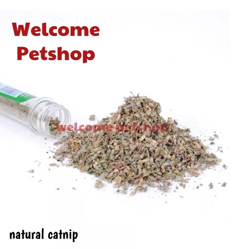 Catnip Kucing / Cat Mint / Daun Catnip / Kebutuhan Kucing Cat Nip