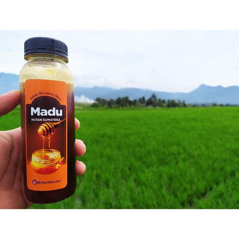 

Madu Asli 500 gr | Shalih Herbal