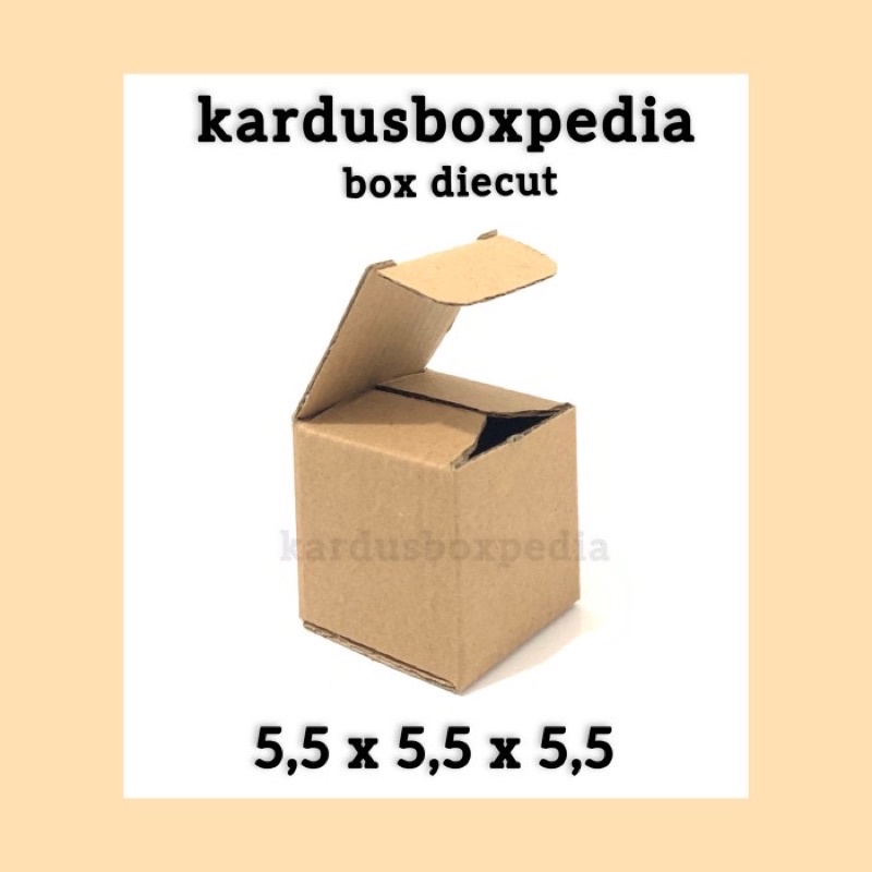 

corrugated box 5,5x5,5x5,5 box diecut/box pizza packing