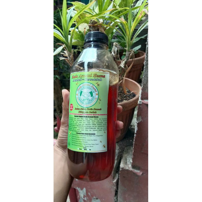 

Madu Hutan asli sumbawa grade A 1,2 kg