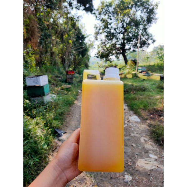 

Madu Murni Kemasan 1 Liter