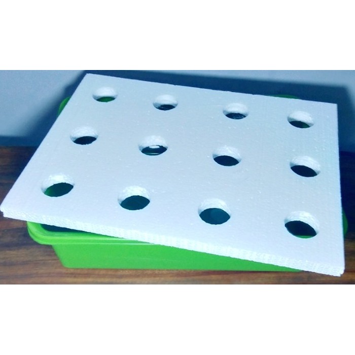 Jual Styrofoam 12 lubang tutup hidroponik sistem wick Limited