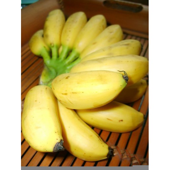 

PISANG EMAS Organik 100% Sayur Segar Organic
