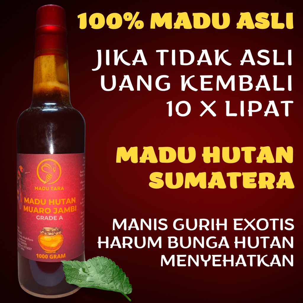 MADU HUTAN SUMATERA MADU ASLI MADU MENTAH MURNI RAW HONEY MADU TARA