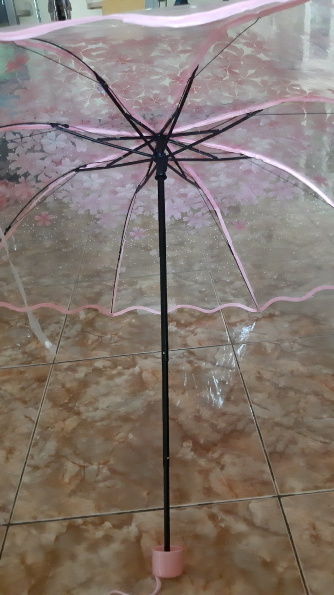 Payung Jepang Lipat Motif Transparan Cherry Blossom - E023 Titangadget