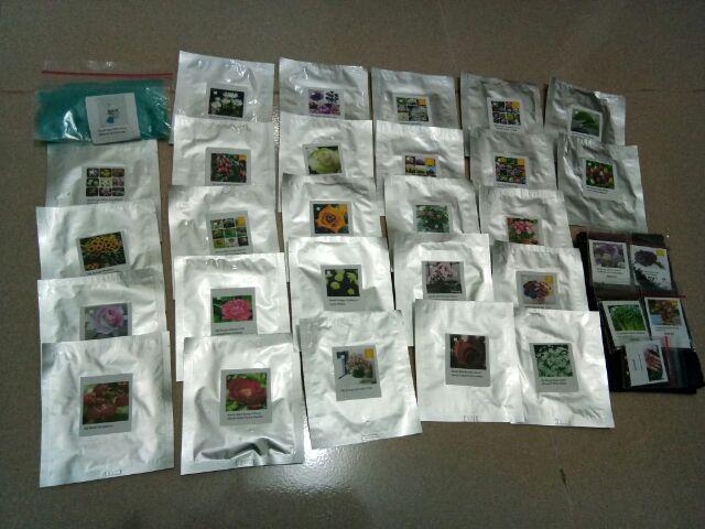 Benih Bibit Buah Gojiberry Wolfberry Import