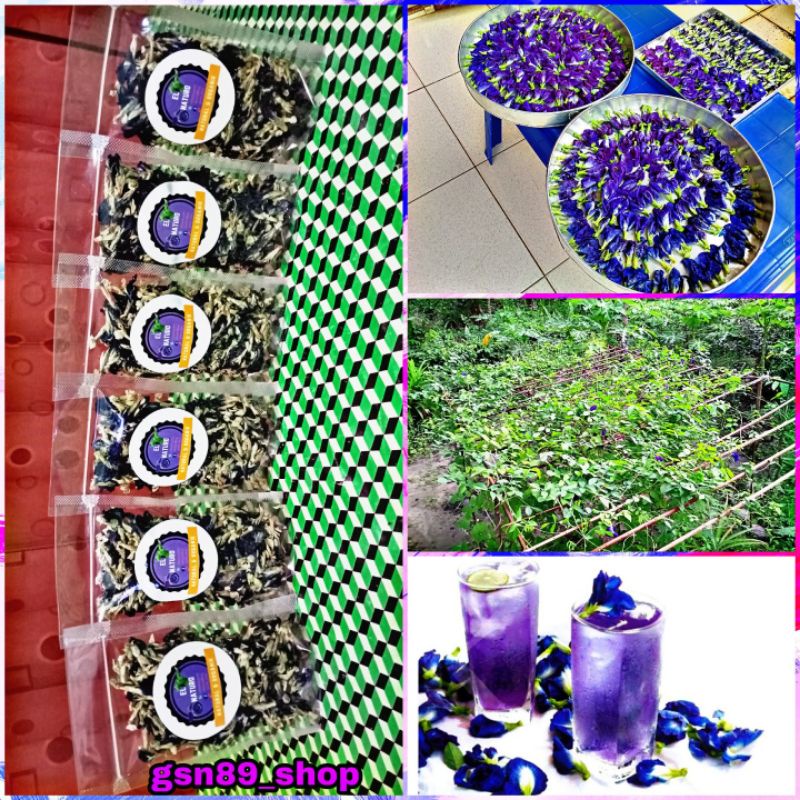 

Bunga Telang Kering 15 Gr✅ Butterfly Pea Tea Organik 100%