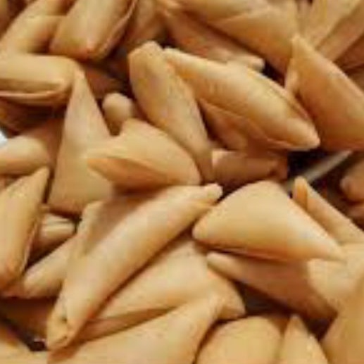 

samosa mini kering