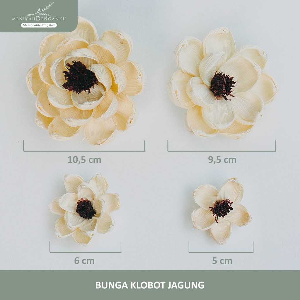 BUNGA KLOBOT - JAGUNG - TERATAI