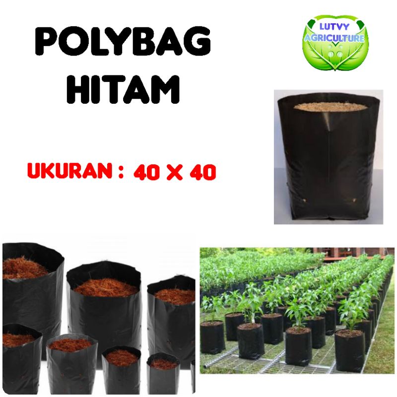 polybag hitam 40 x 40