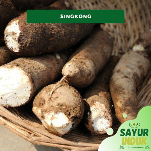 

Sayur Induk - Singkong 500 Gram Fresh Ketela Pohon (Cassava)