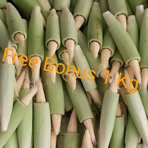 

✨Terbaru✨ Jagung Acar | Jagung Baby | Jagung Putren 1 kg + Gratis Bonus serbuuu !
