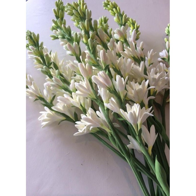 Bunga Sedap Malam Segar 10 Tangkai