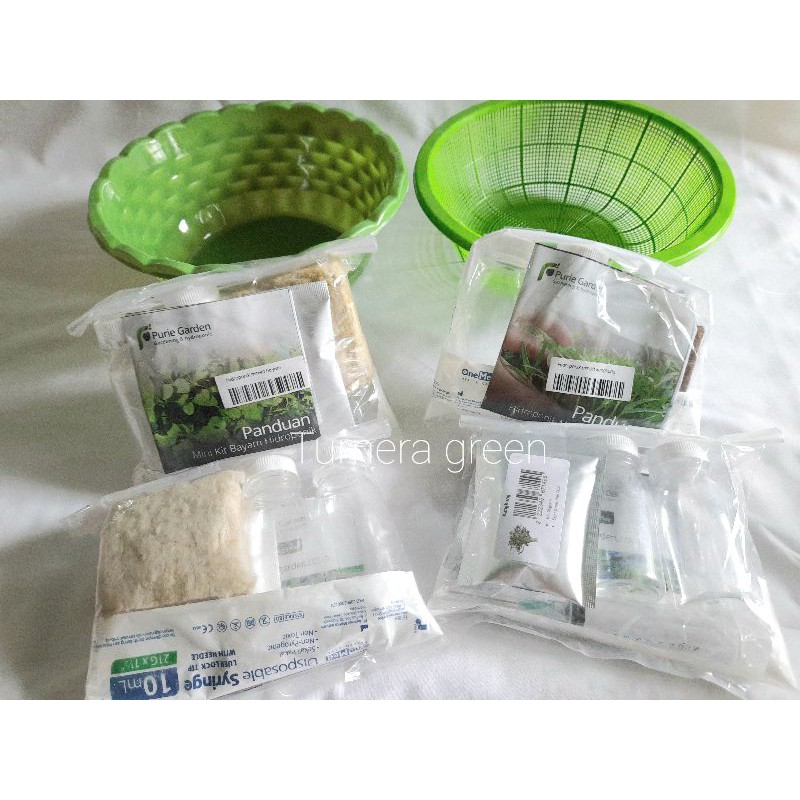 Hidroponik Mini Kit Bayam