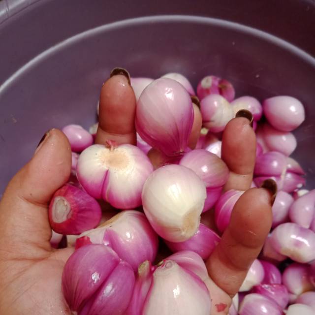 

Bangmer kupas nya 500gram 40.000