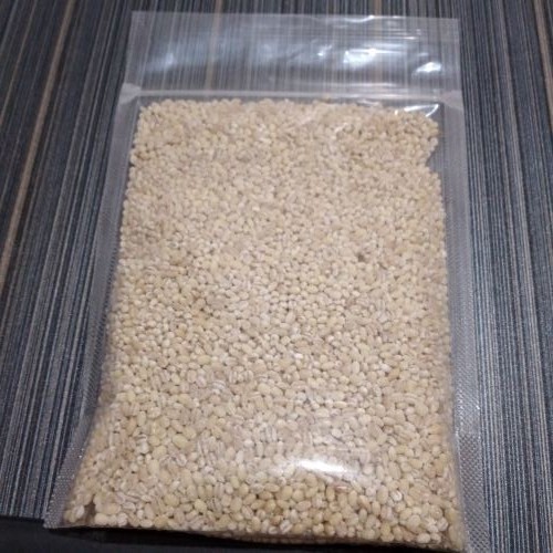 

Barley atau Jali Jali 500 gr