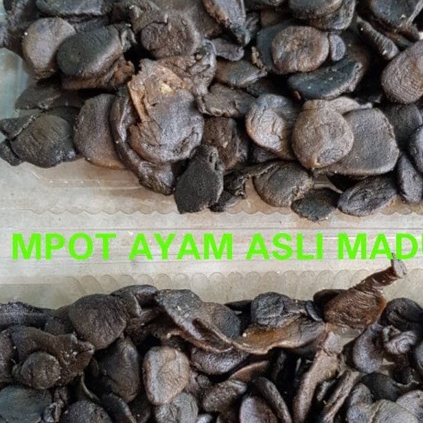 

Mpot Ayam Alami Asli Tanpa Olahan/Empot Ayam Madura Asli Alami 1kg
