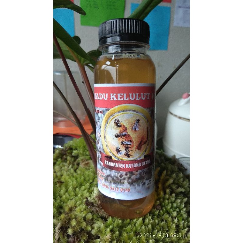 

MADU KELULUT/KLANCENG MURNI 100%