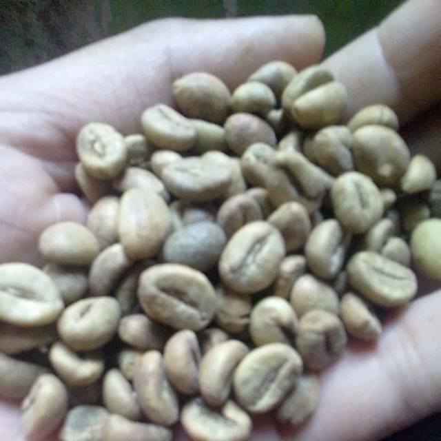 

GREN BEAN ROBUSTA NATURAL GRADE B