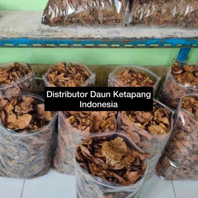 DAUN KETAPANG LAUT OLAHAN KEMASAN 500 GRAM