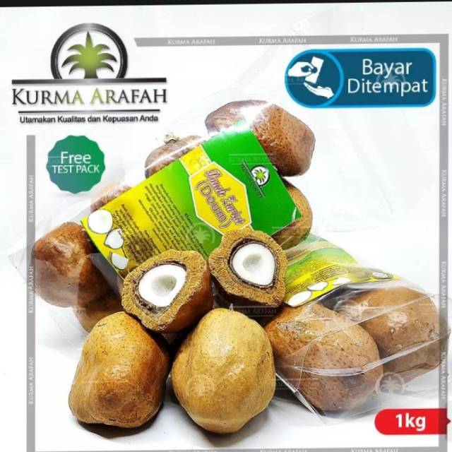 

Buah zuriat