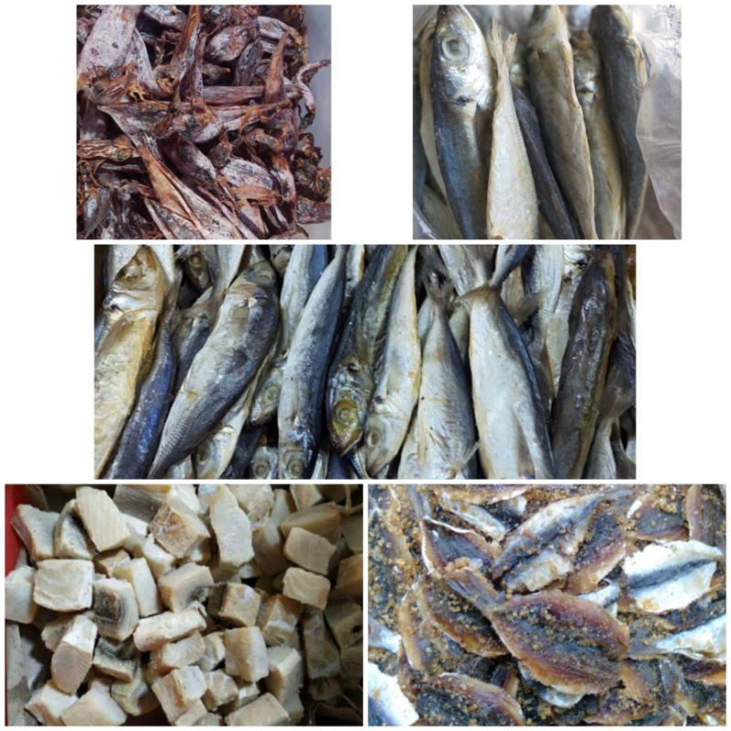 

ikan asin jambal roti/peda merah/cumi juhi/cumi asin/ebi/teri nasi medan/teri jengki/juhi/tembang/petek/kipasan/japu layang/peda