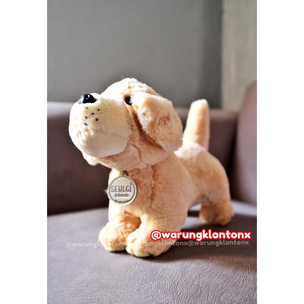 Boneka Anjing Golden Retriever Puppies By Seulgi Classic Premium