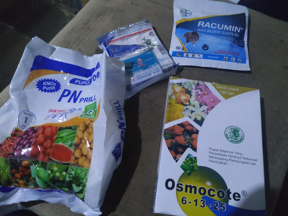 Petrokum 0.005 Bb Rodentisida Antikoagulan Racun Tikus 100 Gram