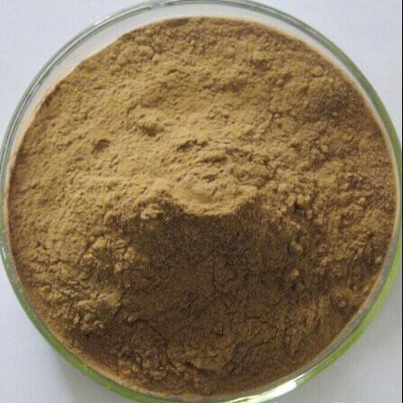 Bubuk Daun iler 100 g Serbuk Jawer Kotok Miana Kering Miyana Coleus Powder