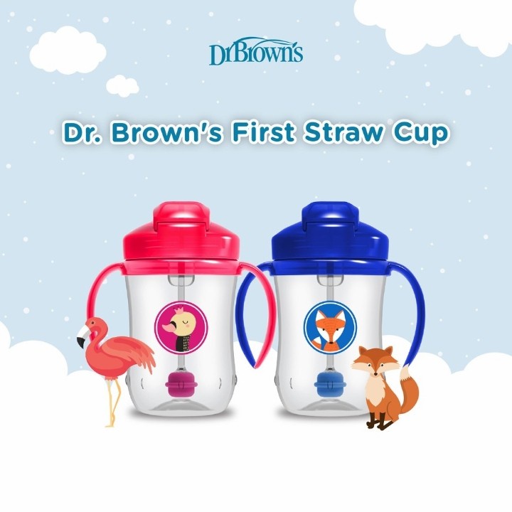 Dr Browns 9oz First Straw Cup 270ml - Botol Minum Anak Sedotan