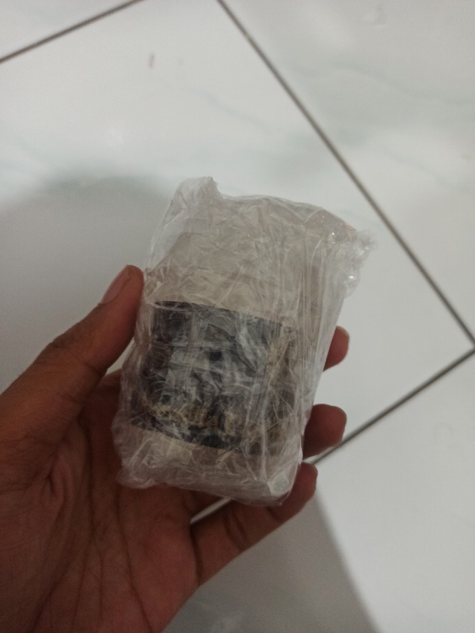 25g Premium Kemenyan Arab Luban Frankincense Boswellia Papyrifera