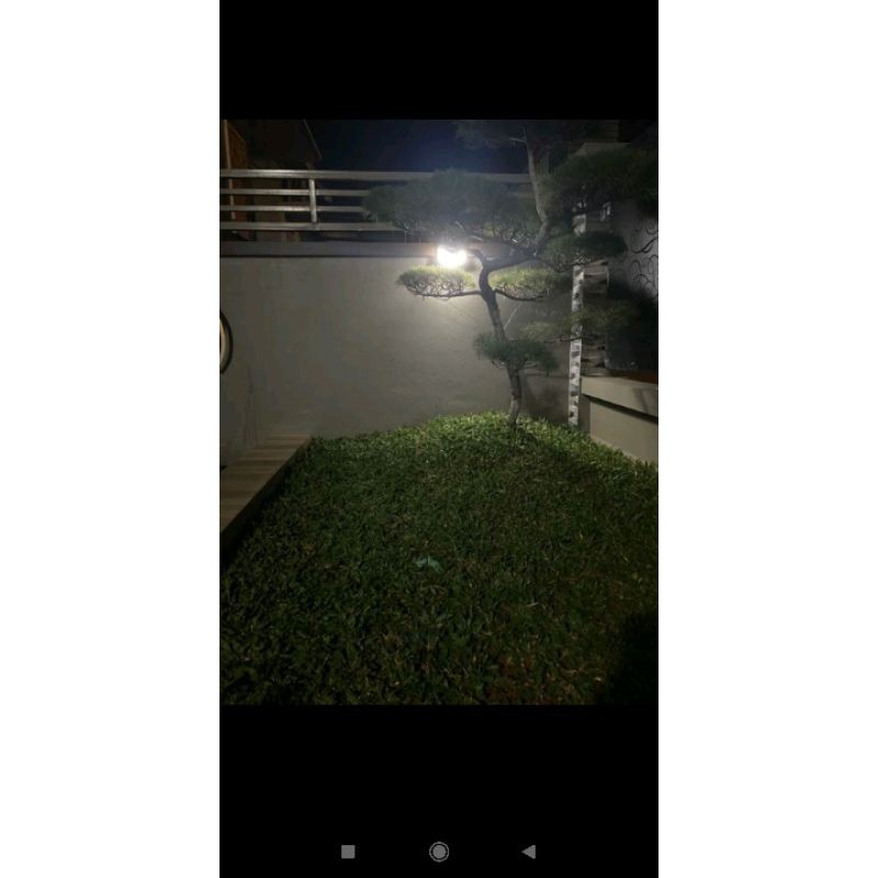 Lampu Taman 100Led Solar Otomatis / Lampu Solar Sensor / Lampu Dinding Taman