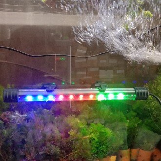 LAMPU LED CELUP UNTUK AQUARIUM IKAN DAN AQUASCAPE WARNA WARNI