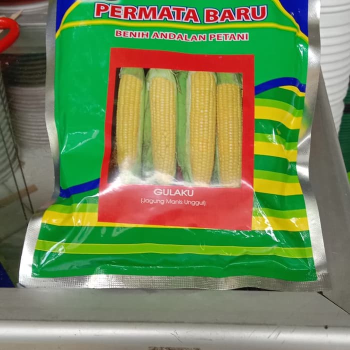 

Promo Benih Jagung Manis GULAKU 250 gr Diskon