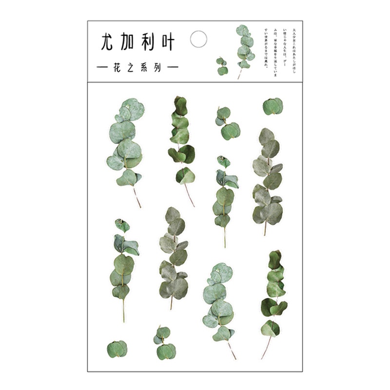 [1Pcs Designs Natural Daisy Plant Words Stickers] [Transparent PET Material Flowers Leaves Plants Deco Stickers]