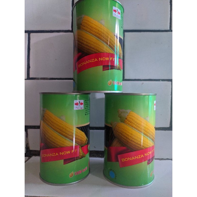 Benih bibit jagung manis BONANZA NOW F1 Kemasan kaleng