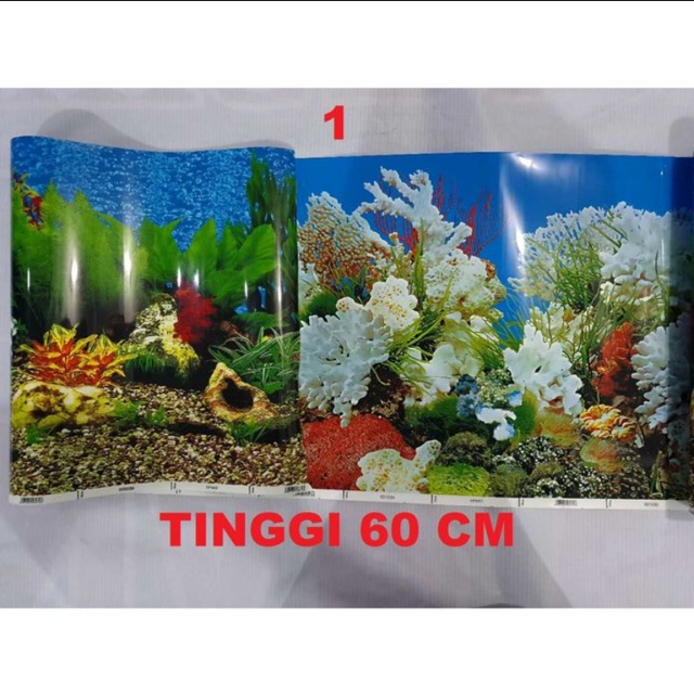 (PEMBELIAN PER 10 cm)Background / Latar belakang aquarium Tinggi 60 cm panjang per 10 cm