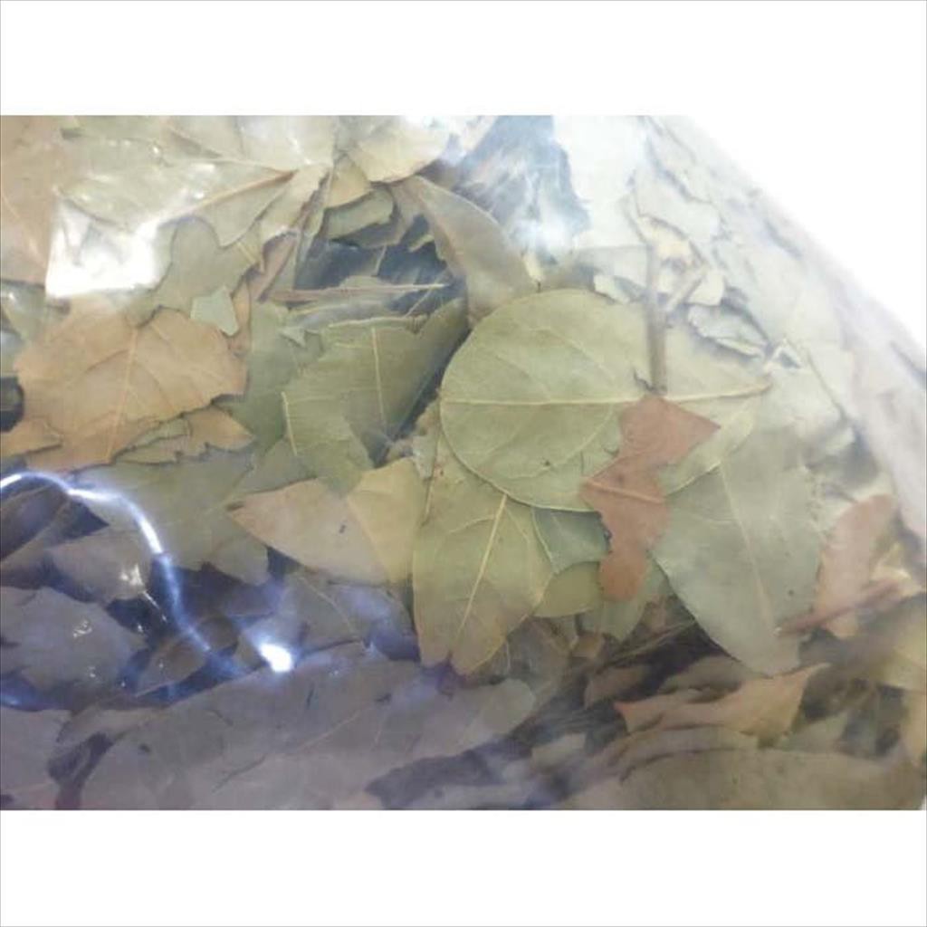 Bay Leaves / Dry Bay Leaves / Daun Salam Kering 100 GR Import Turkey
