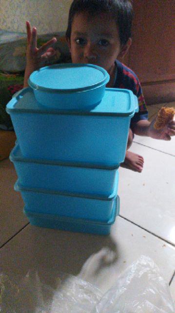 Freshia Coll Tanpa Free