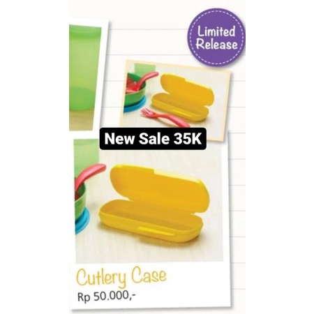 Tupperware Cutlery case