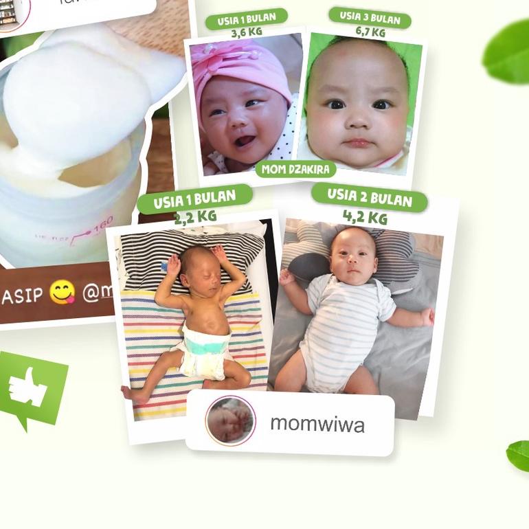 MOM UUNG Pelancar Asi 30 & 60 Kapsul / ikan gabus kelorcap katuk / MomUung BANDUNG